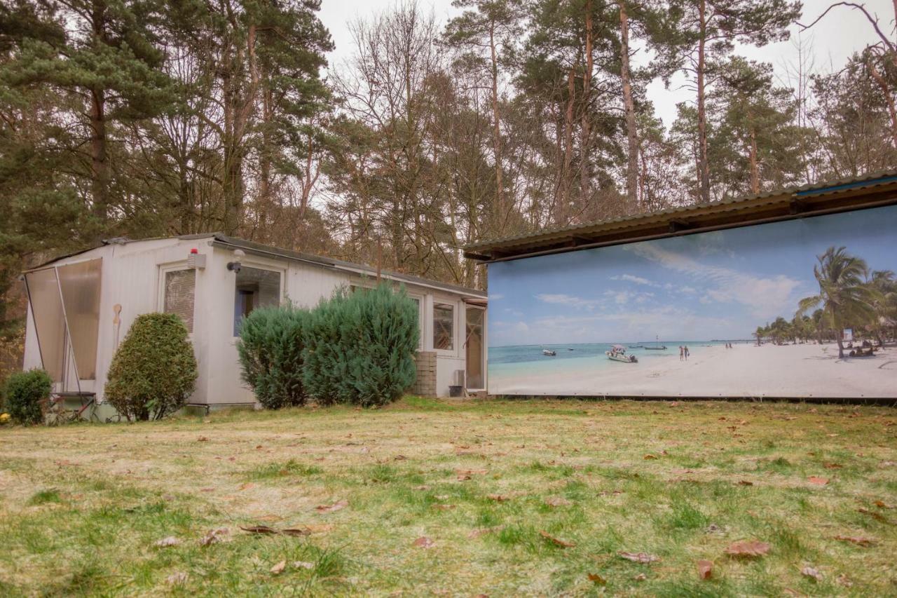 ברנאו ביי ברלין Bungalow Am Wald מראה חיצוני תמונה